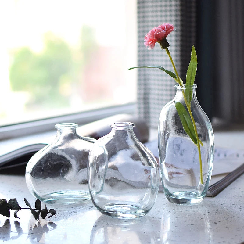Decorative Glass Vase for Flowers – Modern Home and Office Decoration